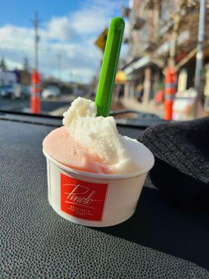 Lemon and Blood Orange sorbet