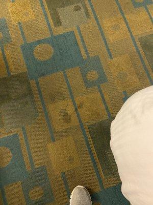 Stains on the carpet