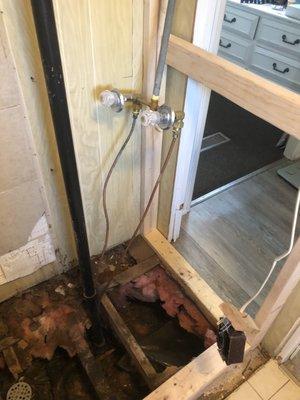 I need this plumbing moved back to enlarge a shower. Can you come check it out?