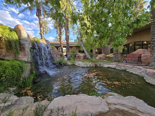 The waterfall in our courtyard