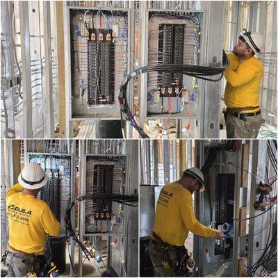 Our Tampa electricians, always in action, call 8135156999.