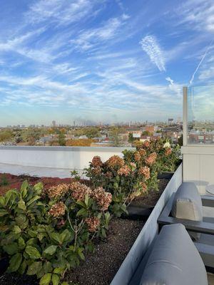 Rooftop view