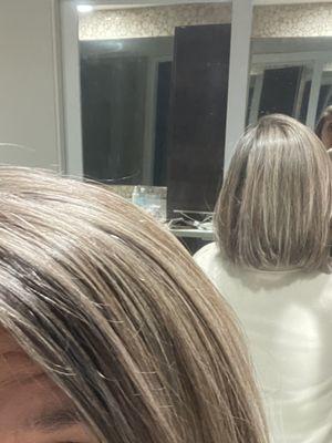 Highlight with Ash tone by Joanne