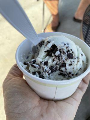 Mint chocolate chip ice cream