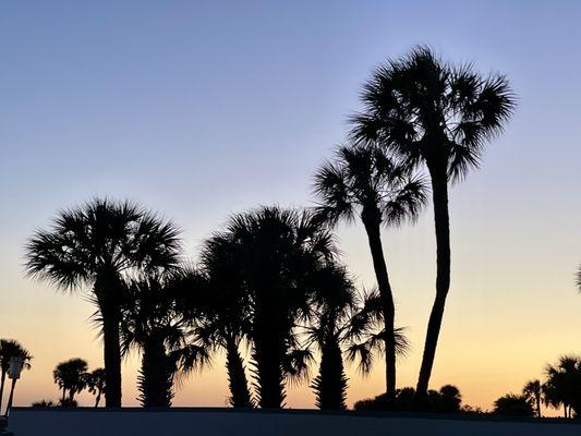 View from the lawn chairs at the hotel