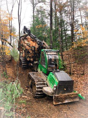 Western Maine Timberland