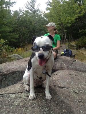 Gracie relaxing on one of our many hikes in the ADK's