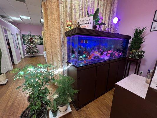 Upland Massage Front desk aquarium