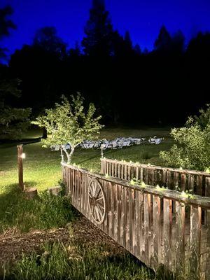 The meadow and bridge at night