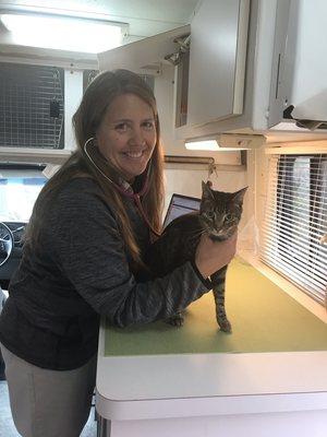 Dr. Waterman examining a kitty in the truck.