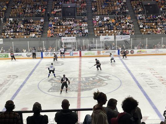 Knoxville Ice Bears Professional Hockey