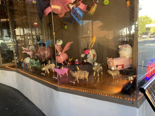 Outside pig display