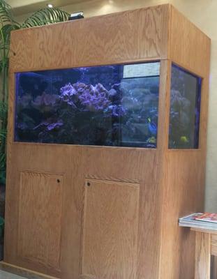 Fish Tank at Dedicated Dental