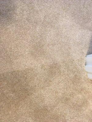 2 colors of carpet in same room