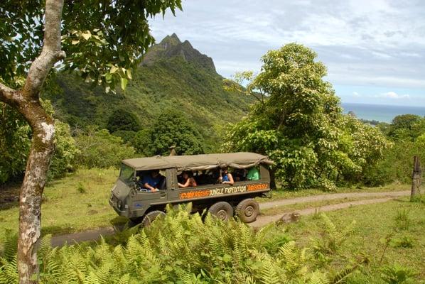 Jungle Expedition into Hakipu'u Valley