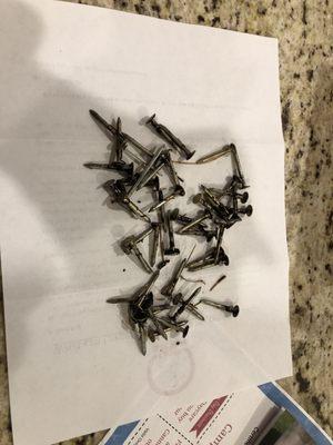 Only a handful of the nails that were found in our yard.