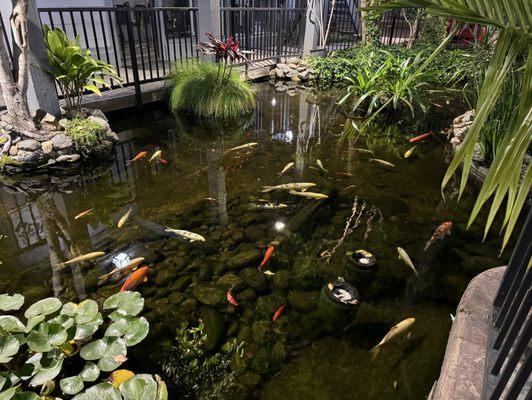 The Koi pond outside is really cool, too!