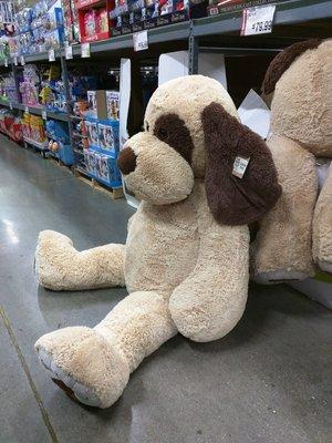 Large plush dog