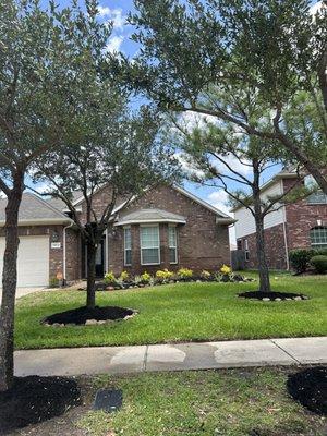 Trees trimmed and new landscaping