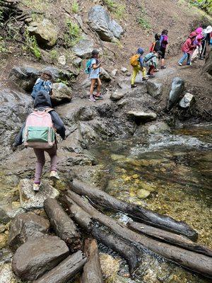 Elementary students on their monthly hike.