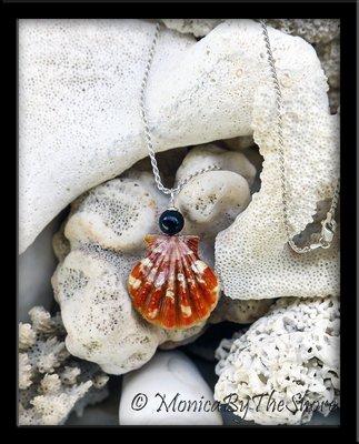 Amazing, deeply colored Hawaiian Sunrise Shell, large sized, perfectly shaped top shell with distinct bright coloration!