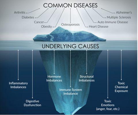 Functional Medicine is a patient centered approach. Instead of looking at the surface, it looks at the whole picture!