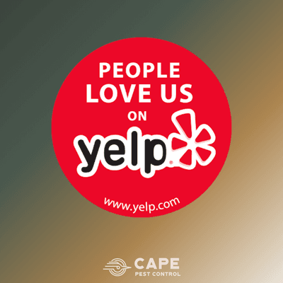 Our Pest control customers are yelp customers