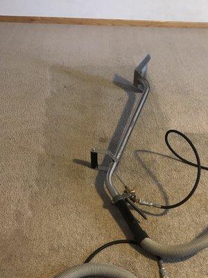 Carpet cleaning before and after