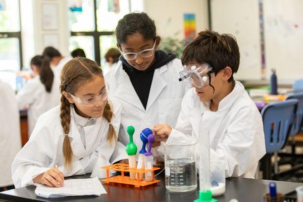 Middle School students working on a science lab together.