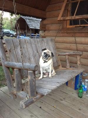 each cabin has a porch swing, pugs are optional