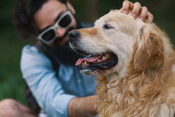 Learn how you can sooth and heal your own pet with Cat Stone's EFT for Pets.