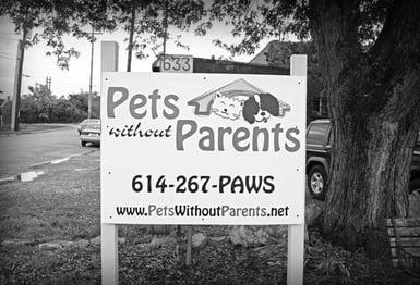 Pets Without Parents