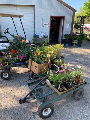 Four wagons of wonder of our shopping