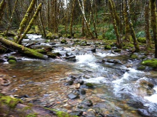 Creek near resort and blue river lake.