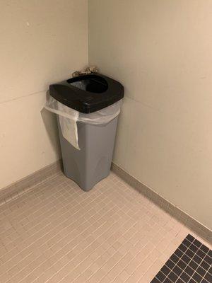 Paper towels not in trash can