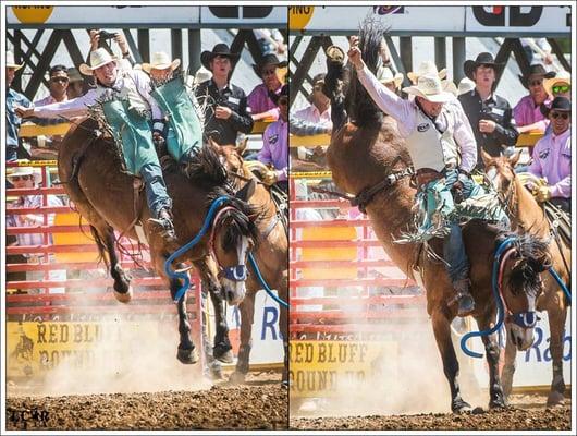 Bareback bronc rider Zack Brown.