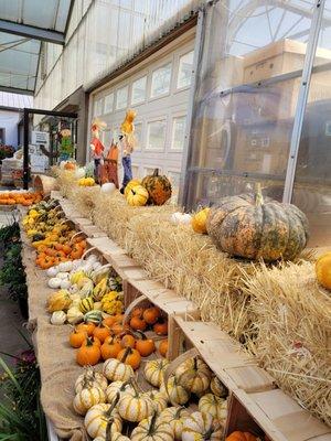 Confreda Greenhouses & Farms