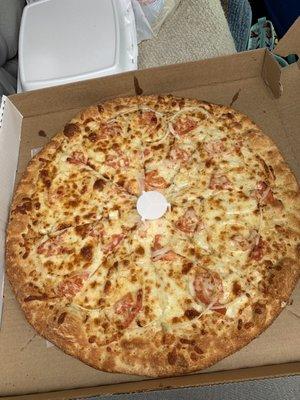 Large White pizza