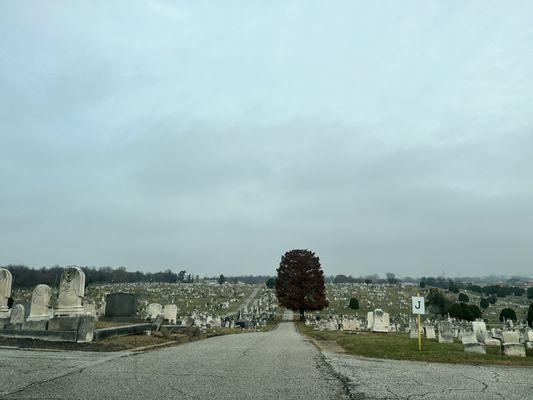 Baltimore Cemetery