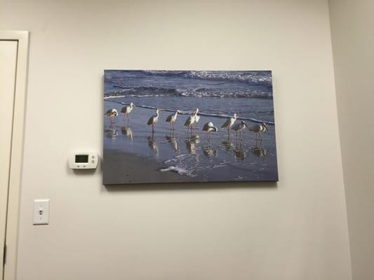 The office has a nice picture of Ibis on the beach