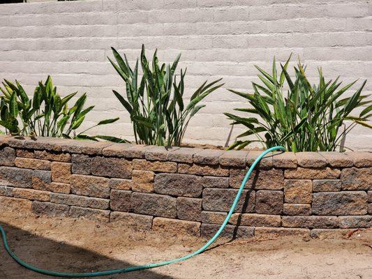 Small planter wall