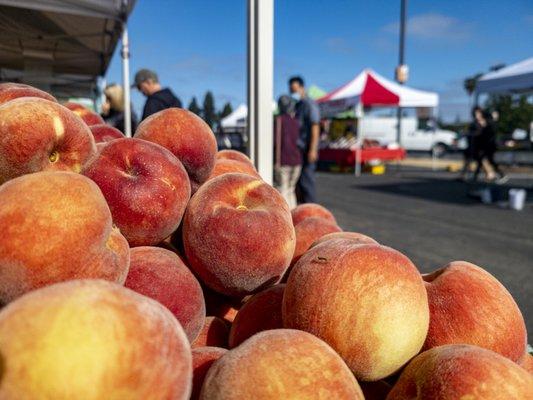 Santa Teresa Farmers' Market