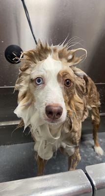 Fun in the tub with Reba