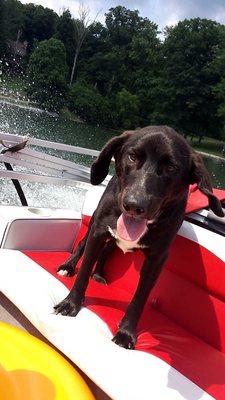 Moose Man loves his boat time!