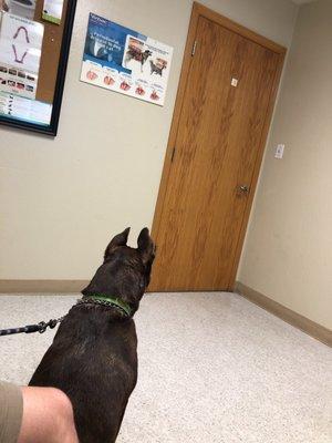 Waiting on the doctor like a good girl