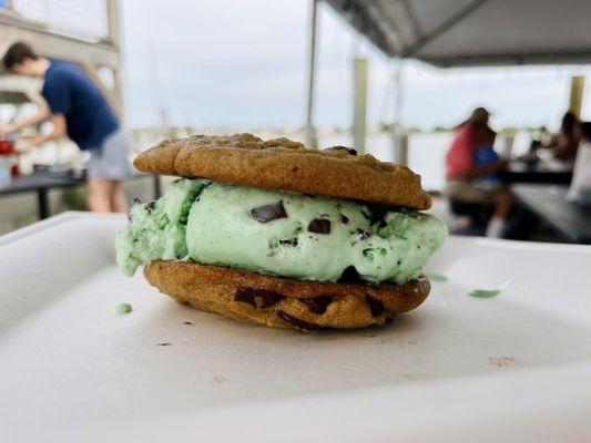 Mint chocolate chip ice cream sandwich