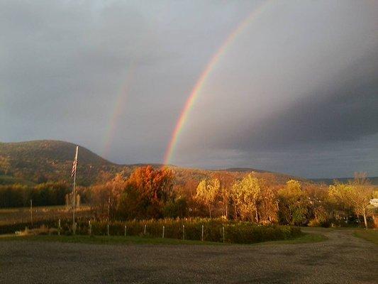 A gorgeous rainbow over the hills of our lovely winery. Not an unusual sight here in the Finger Lakes