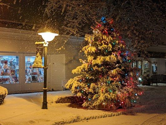 Snowy Christmas Tree