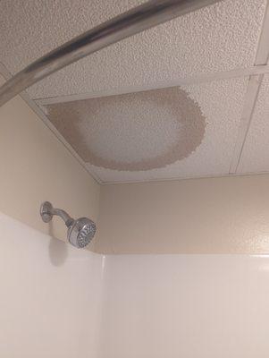 Water stains on ceiling