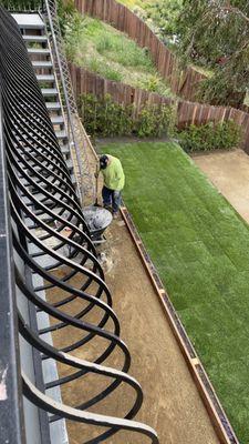 Dg and new sod installation